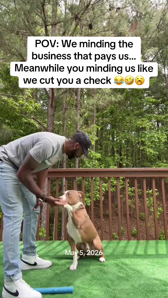 @RashunAli_👑