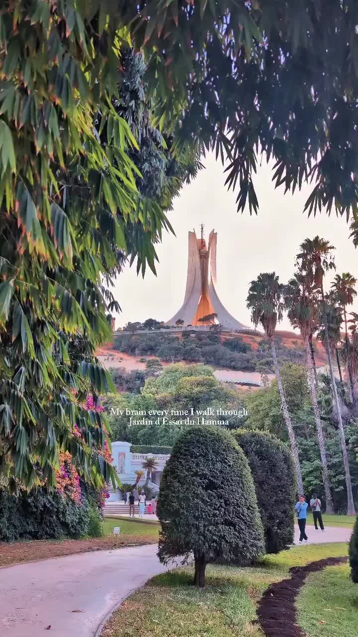 @Discover Algeria 🌍✈️🇩🇿