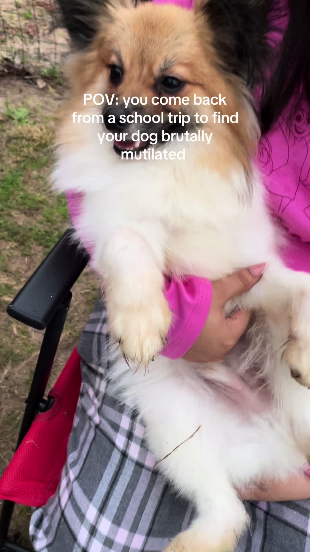 @rawxitt