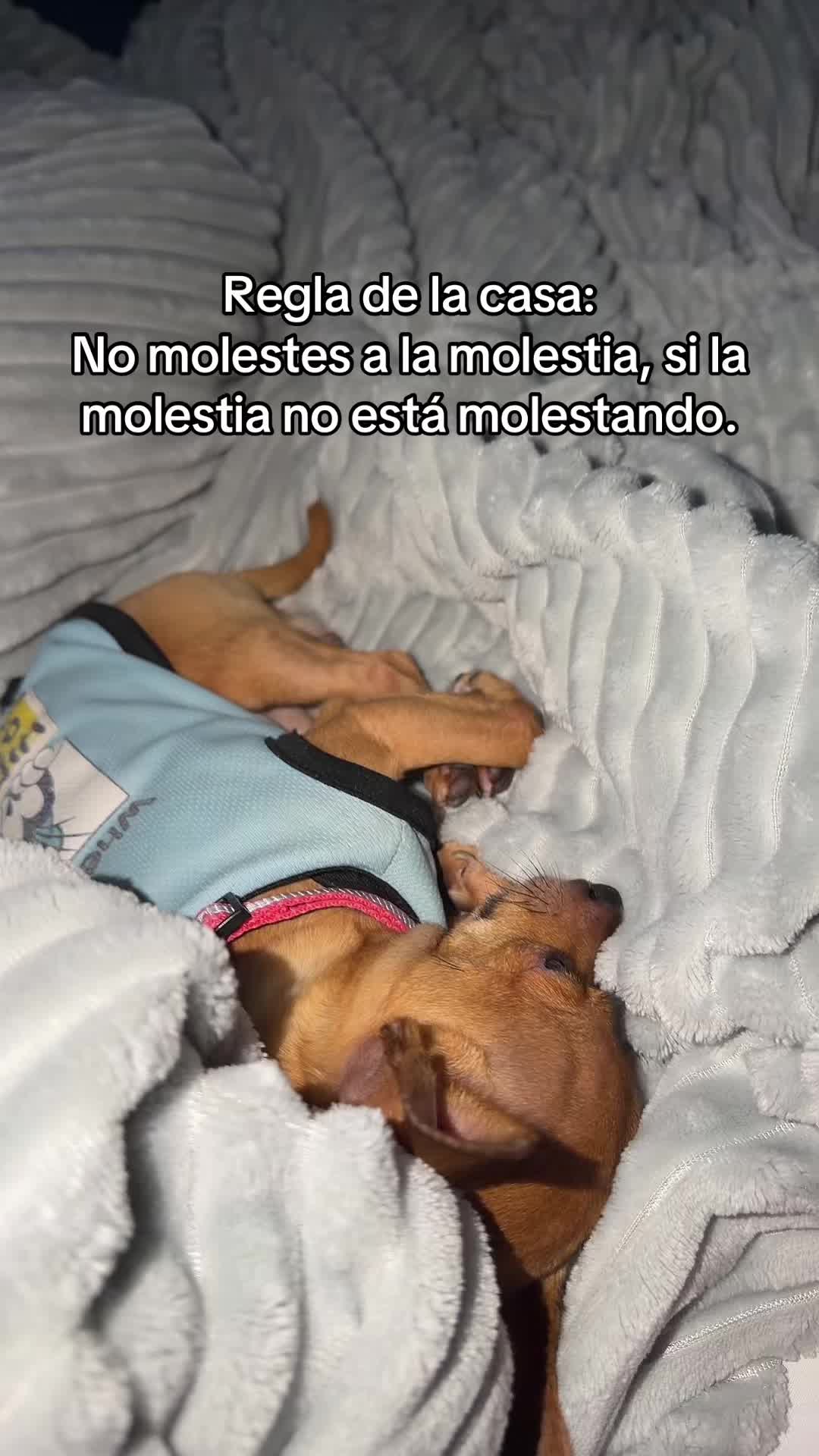 @Gloria Hernandez