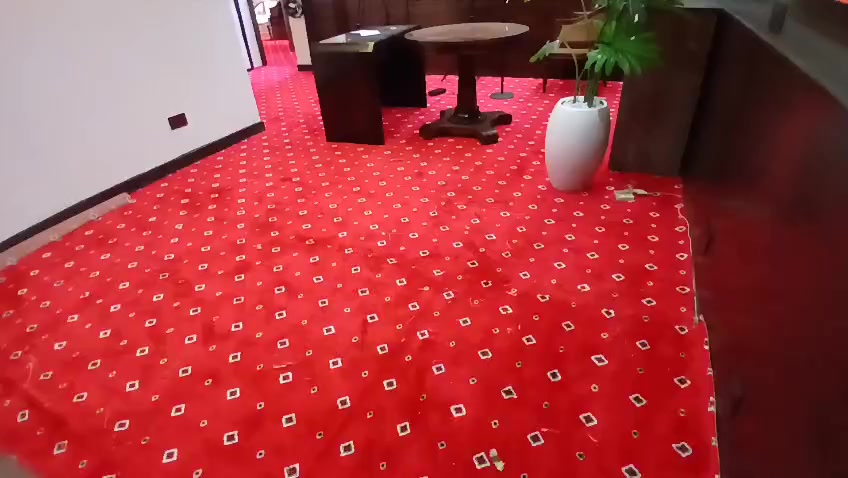 @carpetgrass Experts
