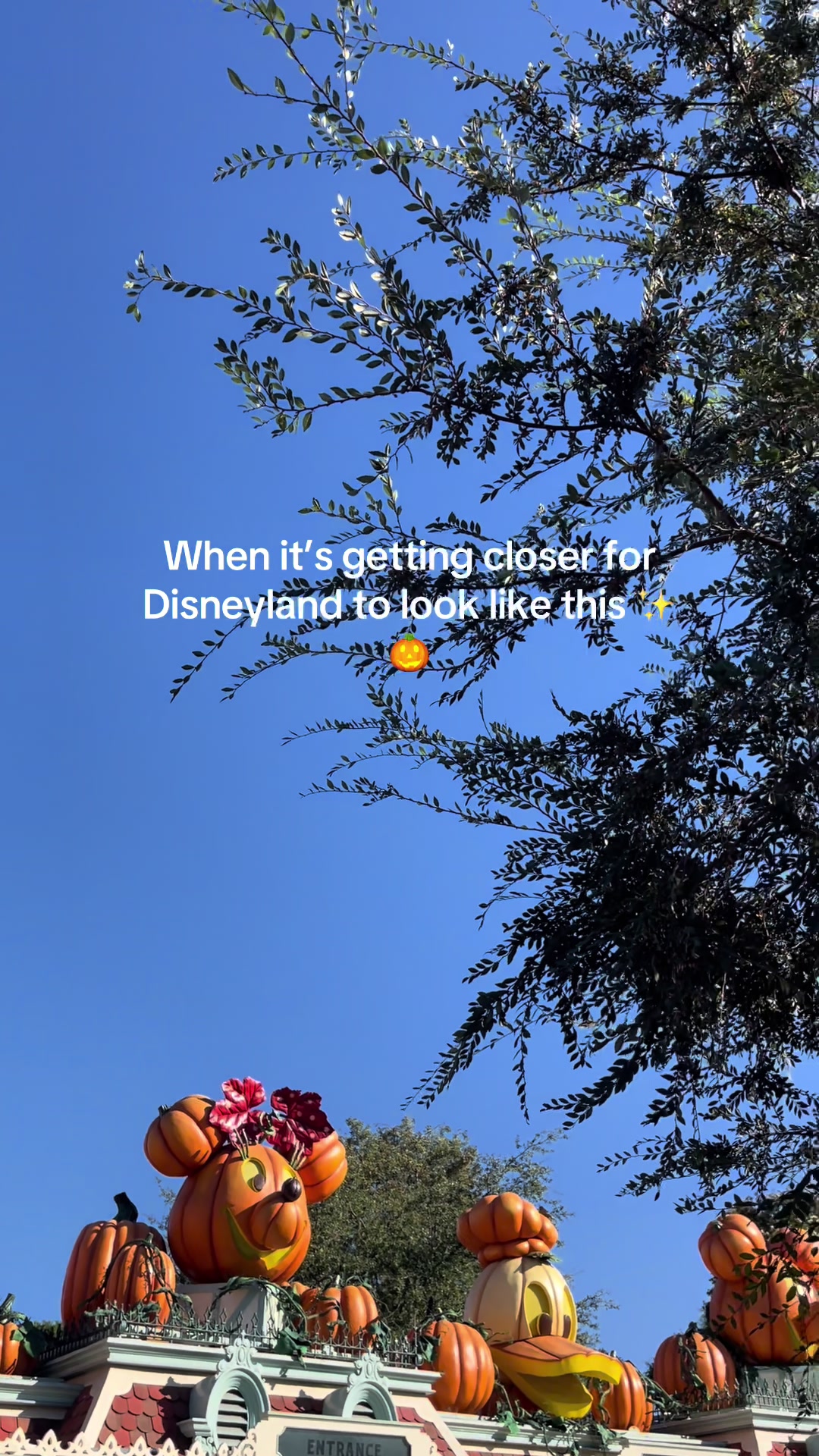 @Olivia