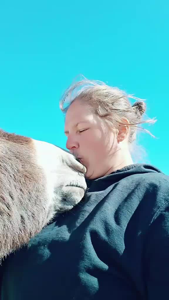 @TinyHoovesRescueAndPettingZoo