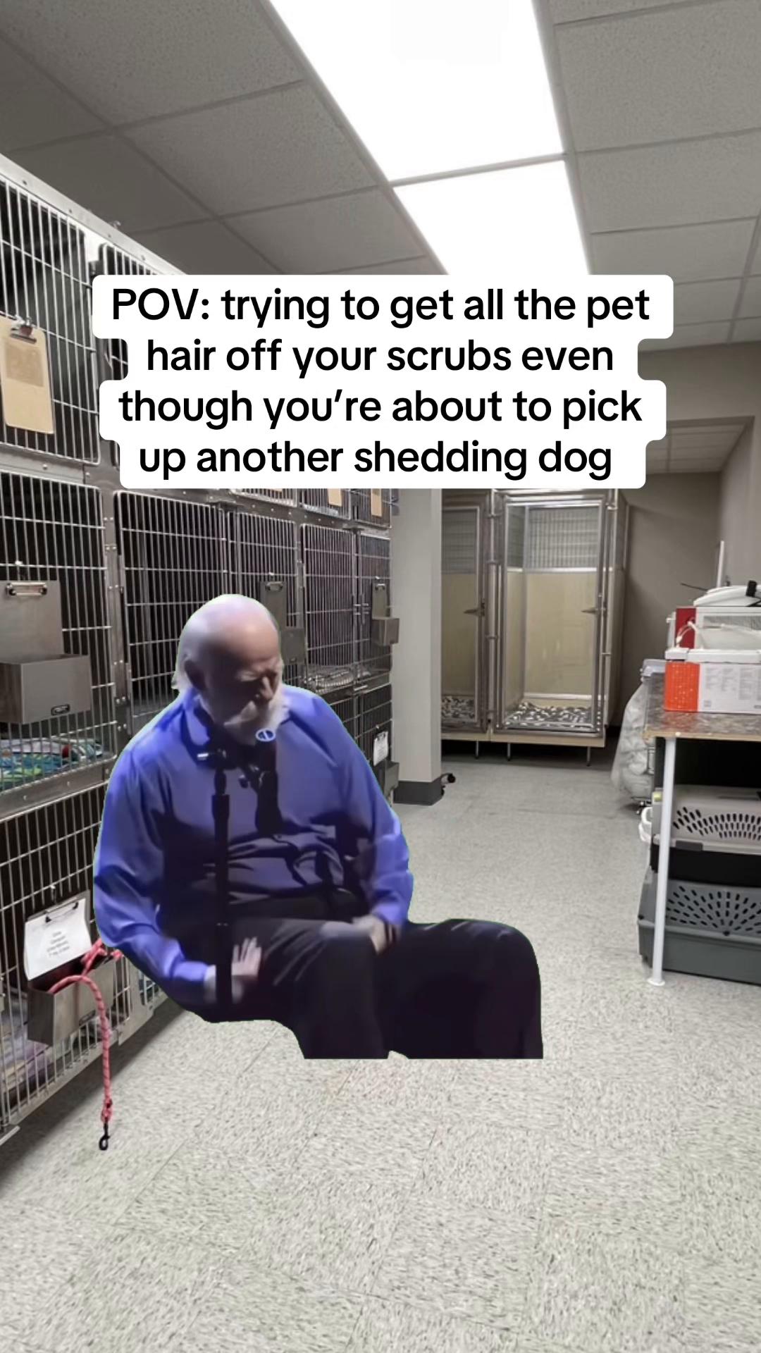 @Snodgrass Vet