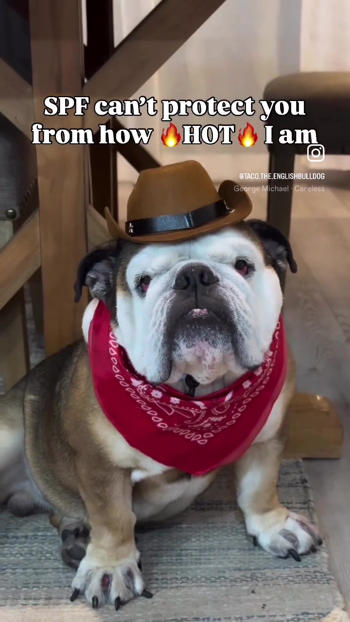 @Taco 🐶🧿