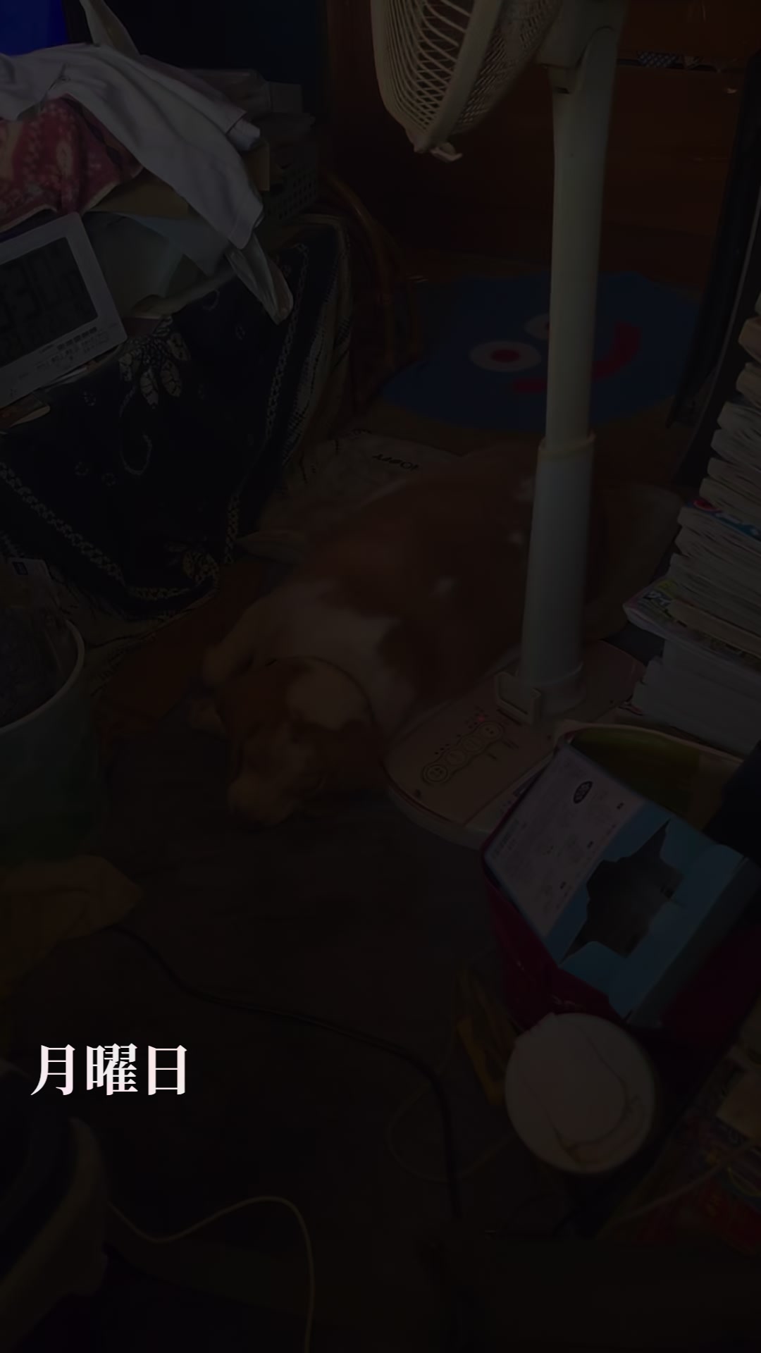 @そら