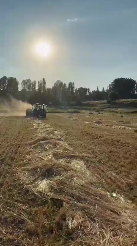 @Talip Eryiğit