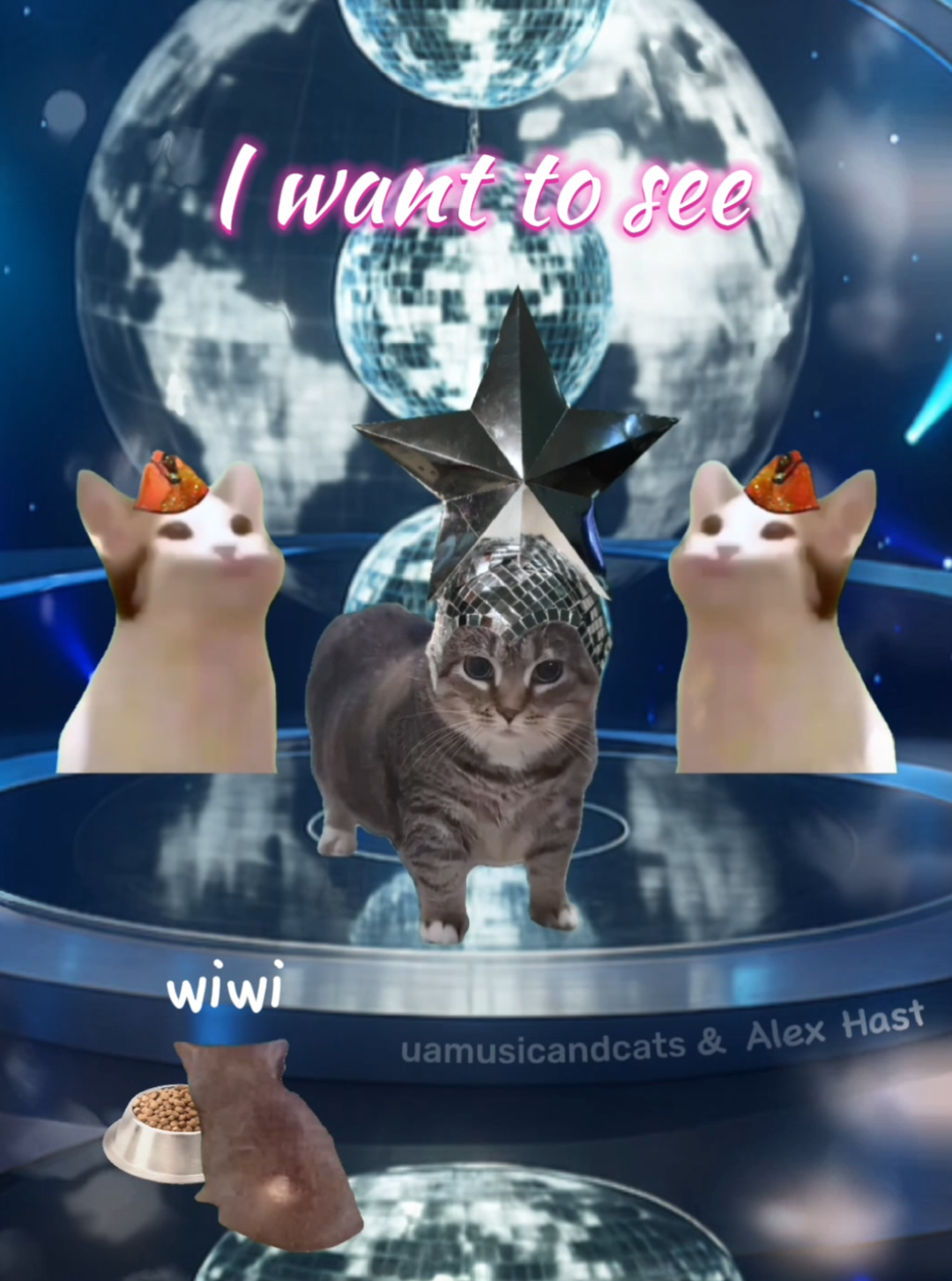@🎧 музика і котики 🐱