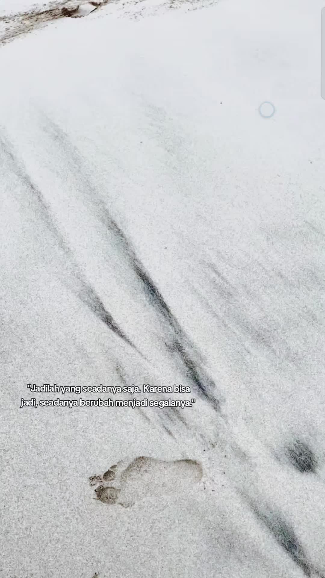 @The 75_726