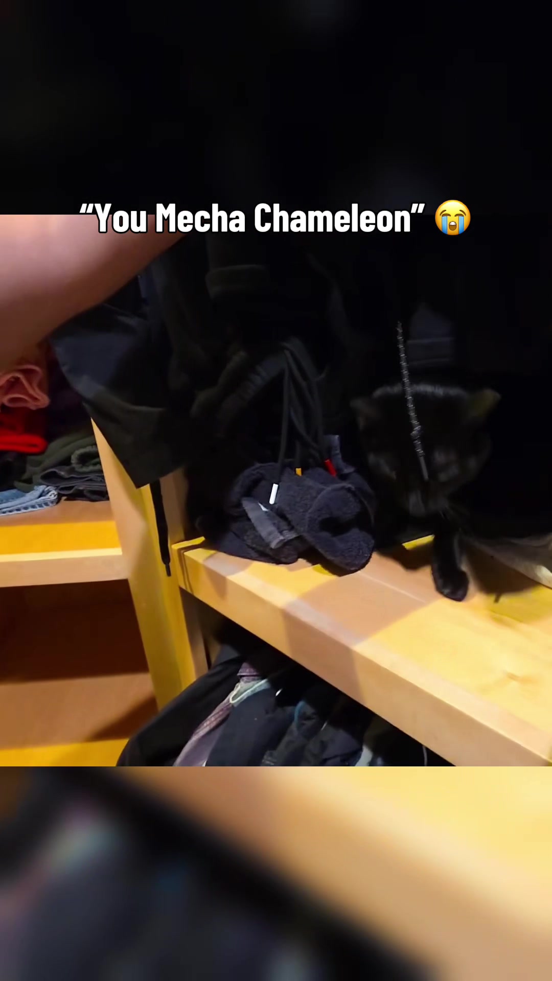 @the.clippercentral