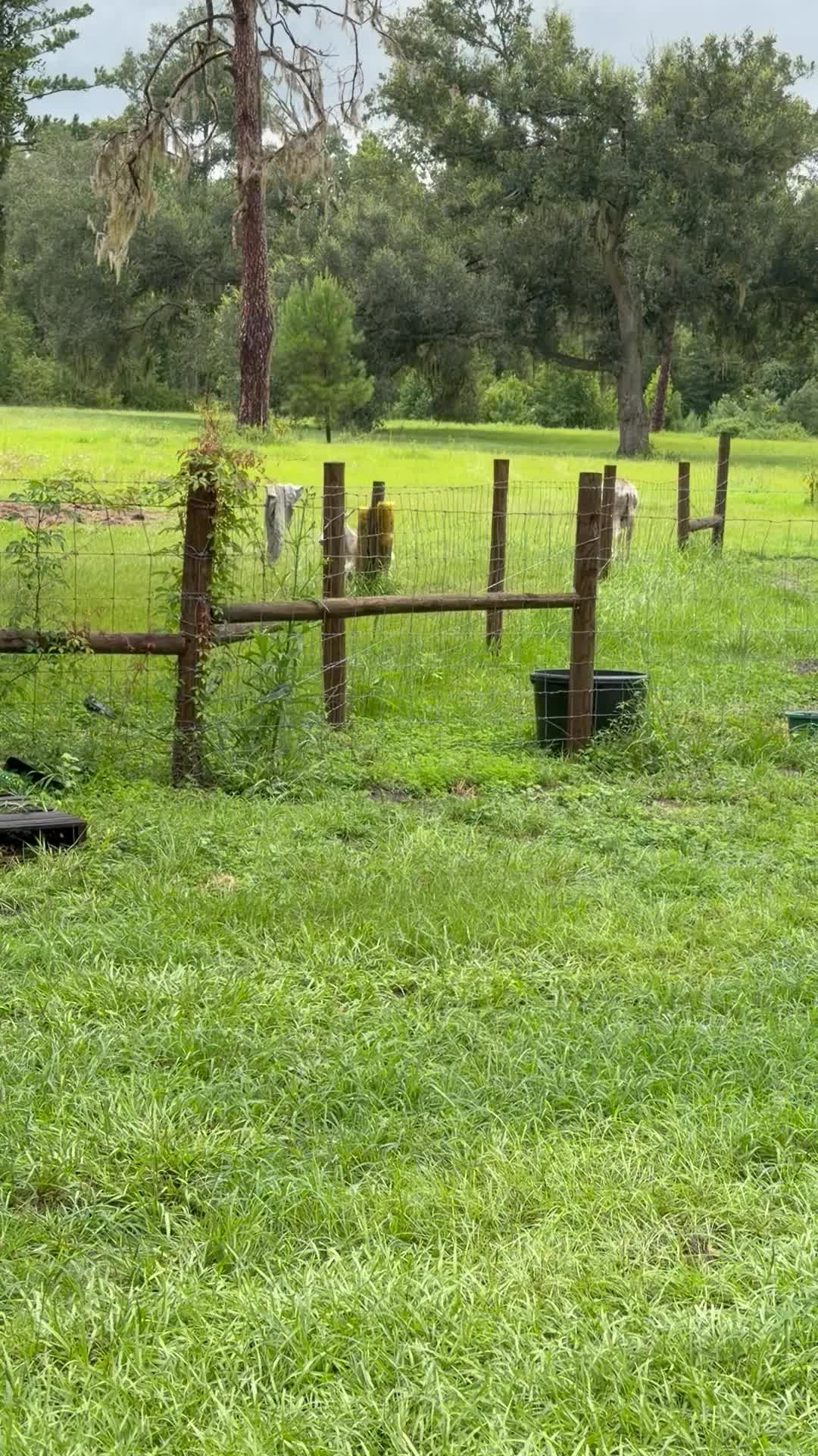 @Kelley Farms