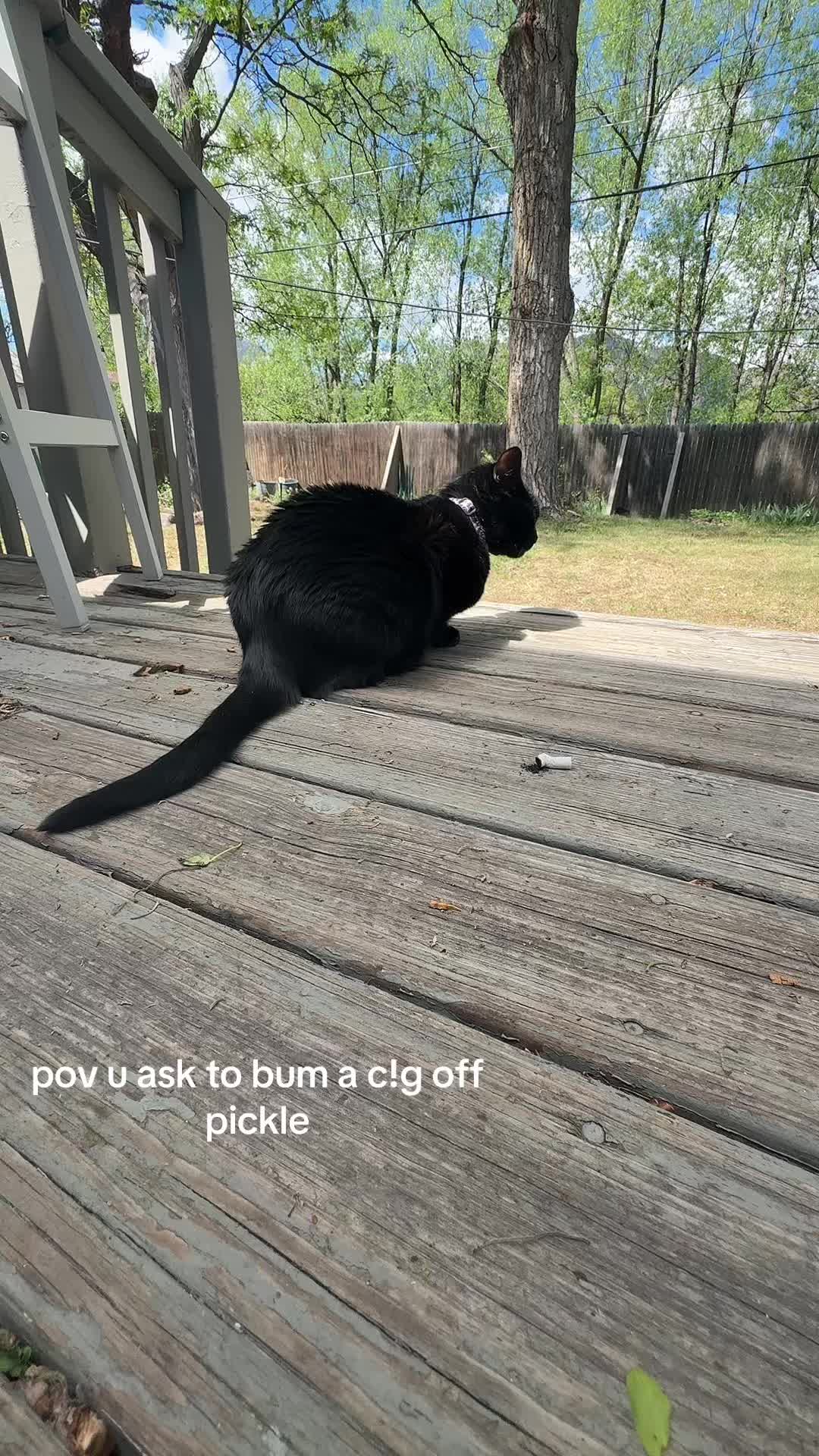 @ilewander
