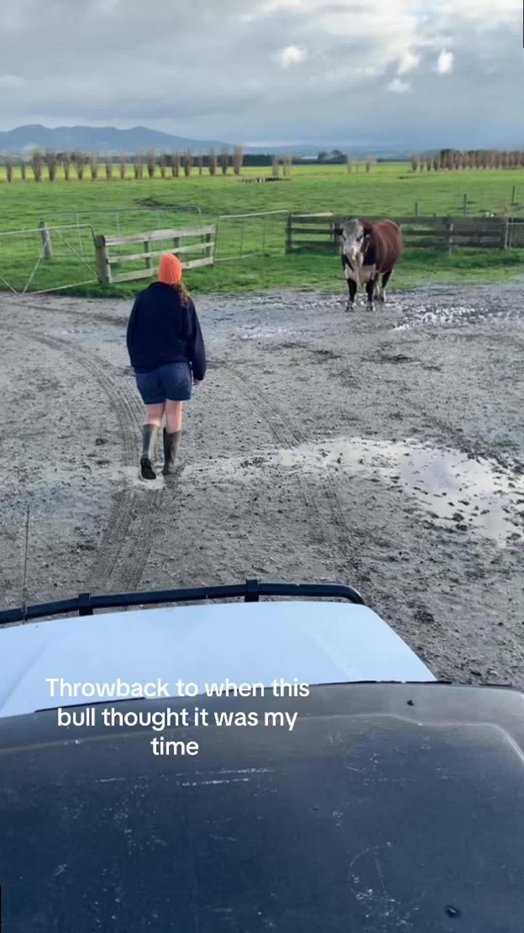 @Funny😁 animals👀