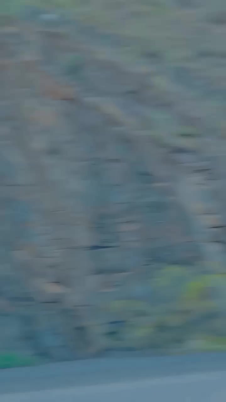 @❤️عمیر شیرانی❤️