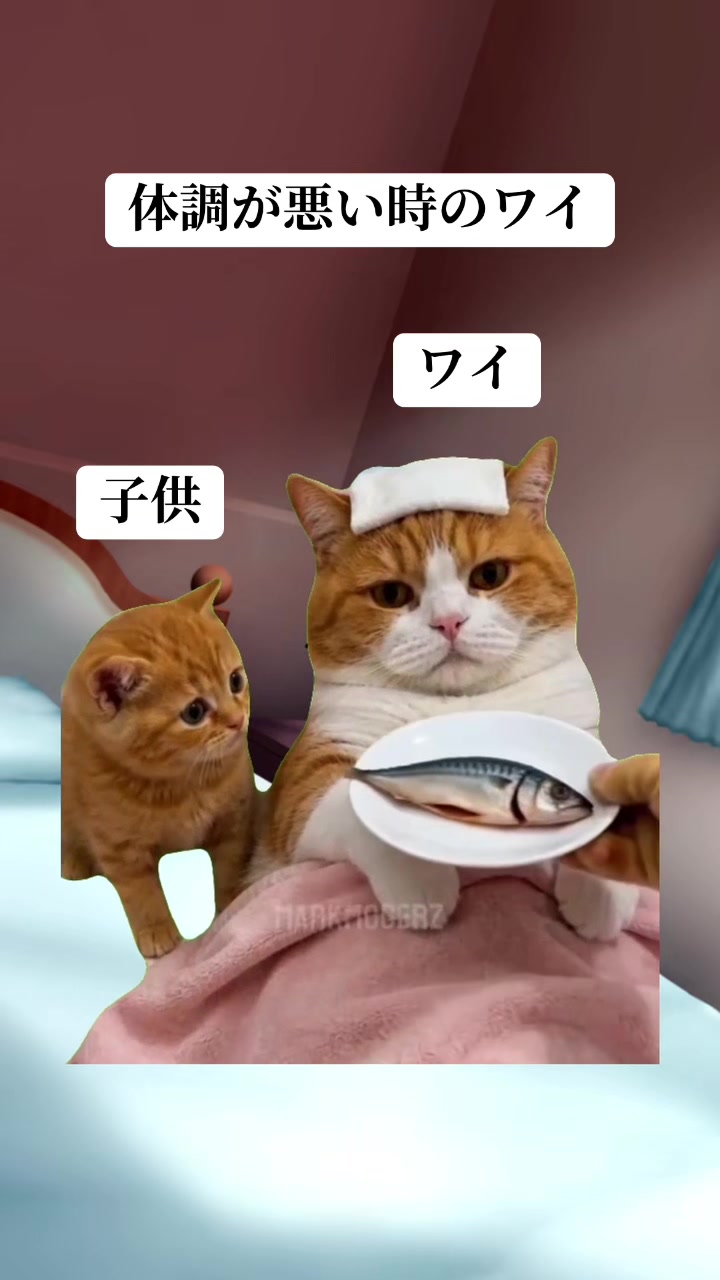 @面白ミーム