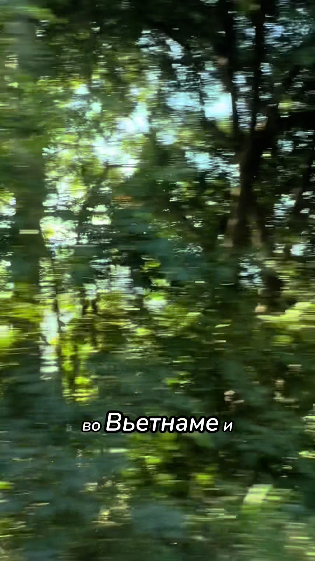 @Надин Милоу