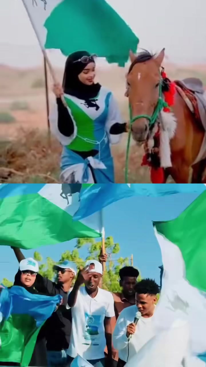 @Mohamed Abdullahi Santur🇸🇴