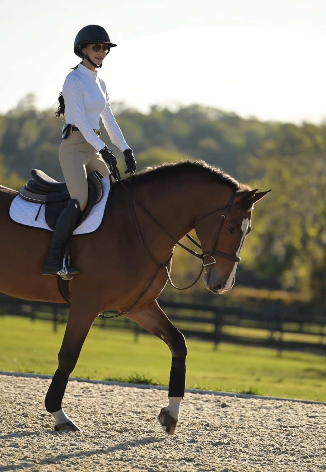 @Free Ride Equestrian