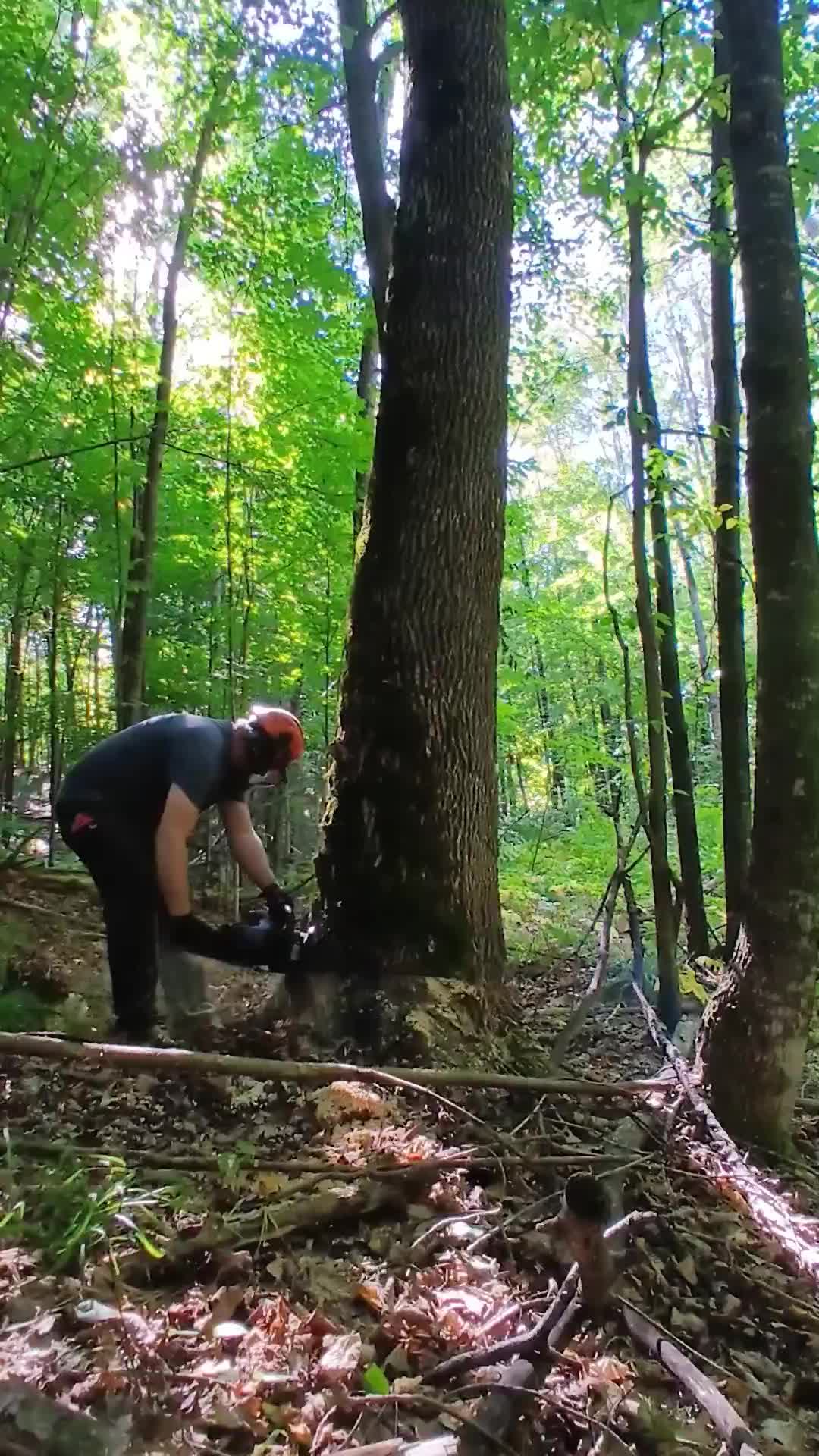 @JoeyLogger