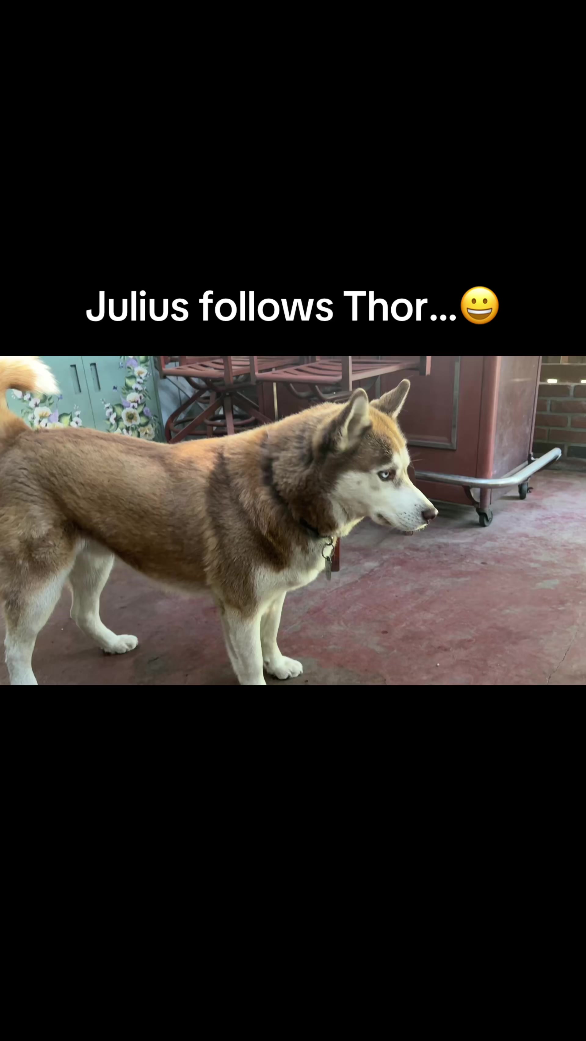 @janolouis95