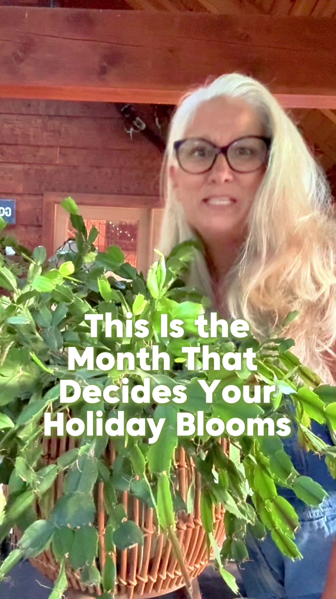 @Sweet BombDiggity Farms