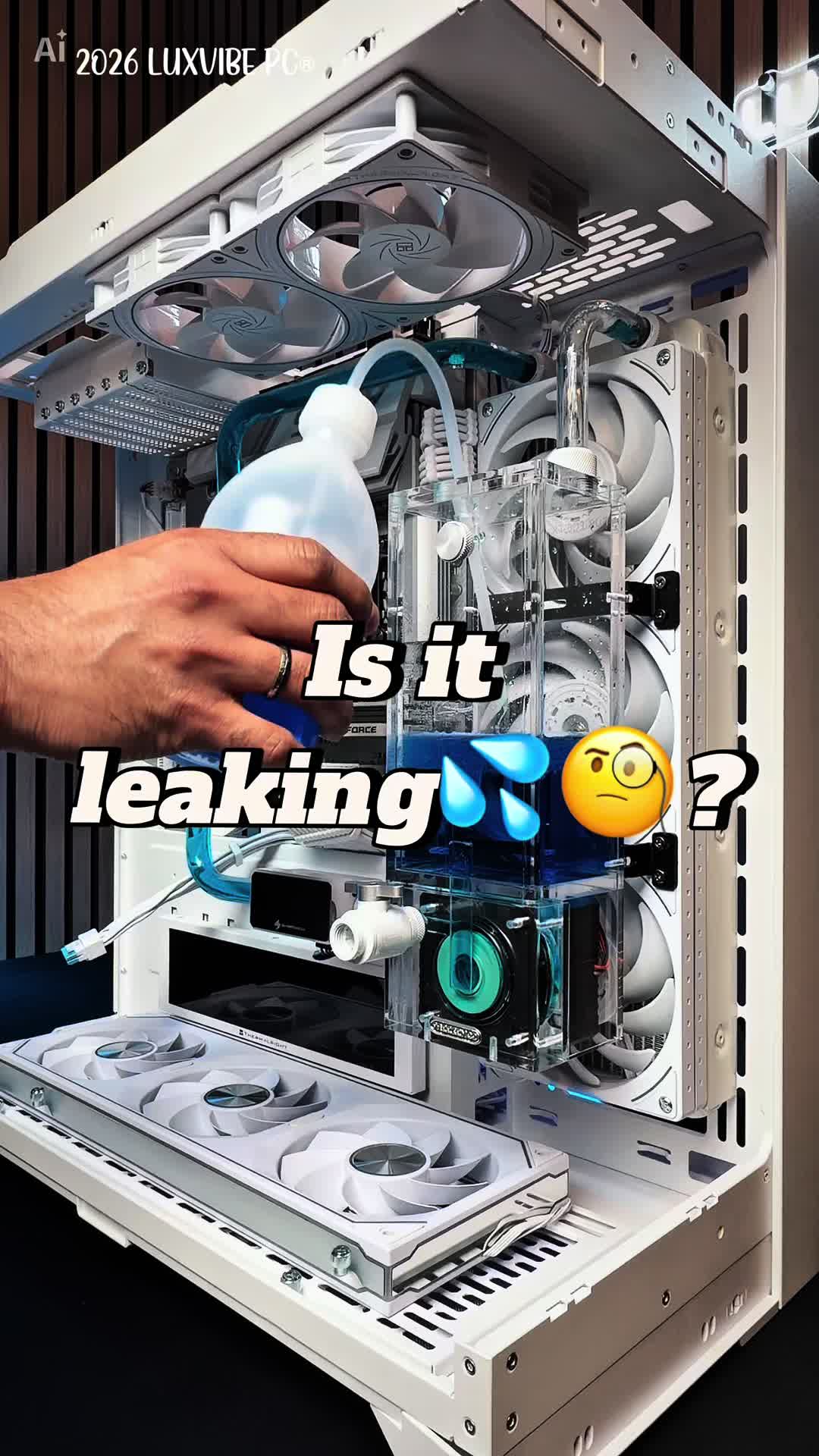 @Luxvibe pc