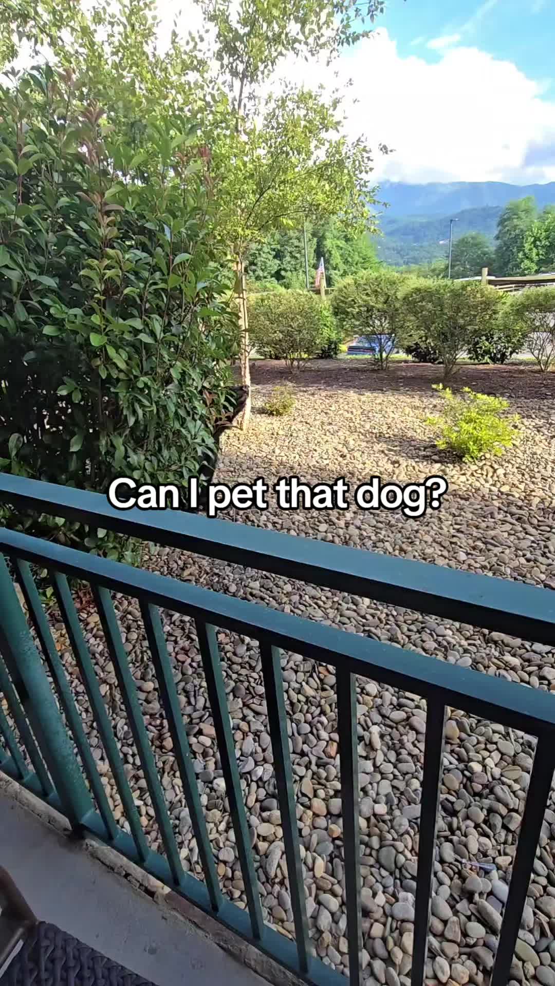 @TheMomstigator
