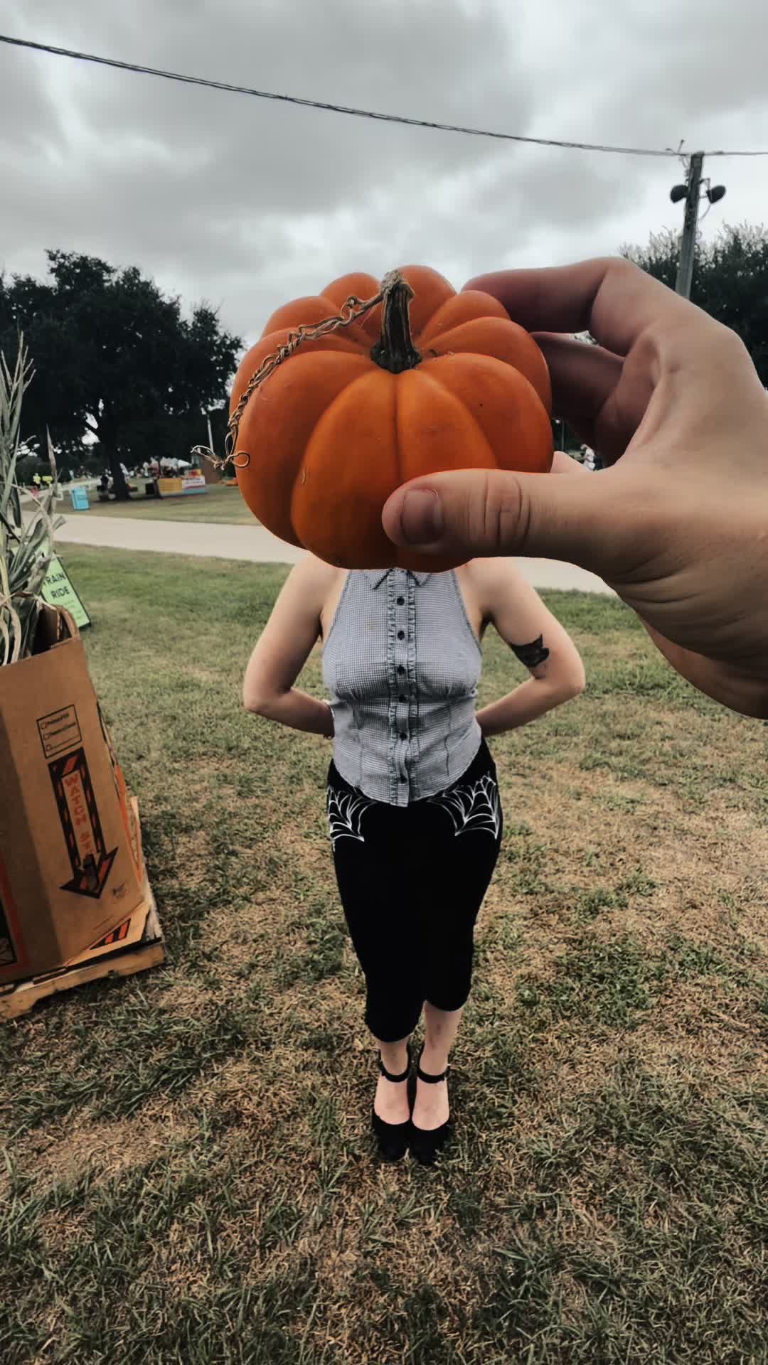 @catshucos