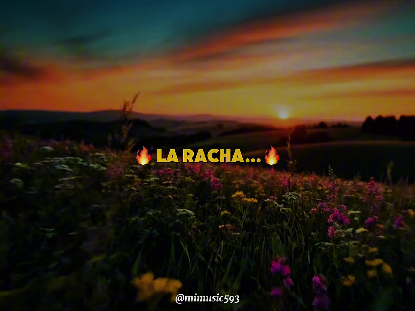 @MiMusic593