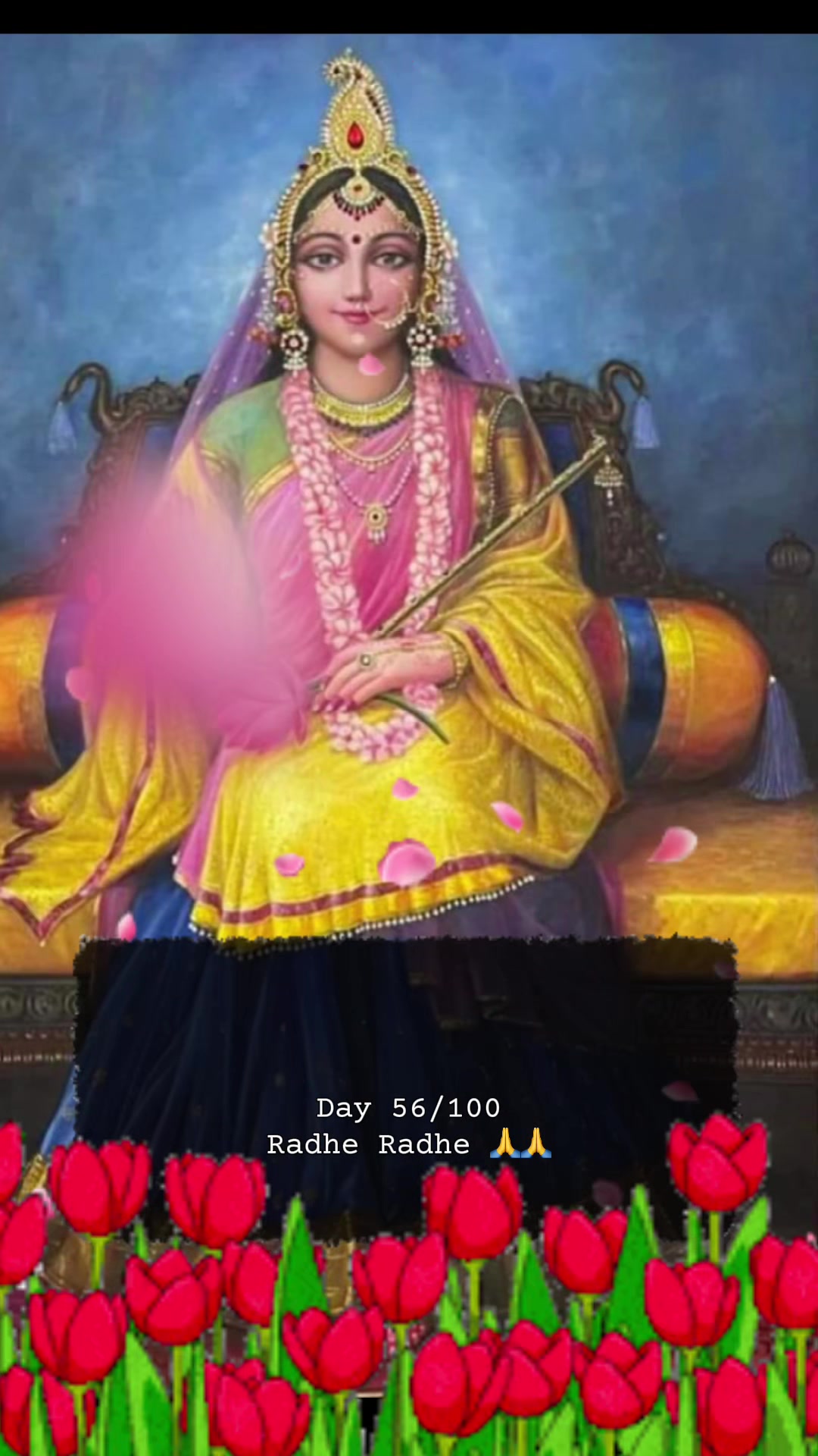 @RadheKrishna🦚🦚🙏🙏