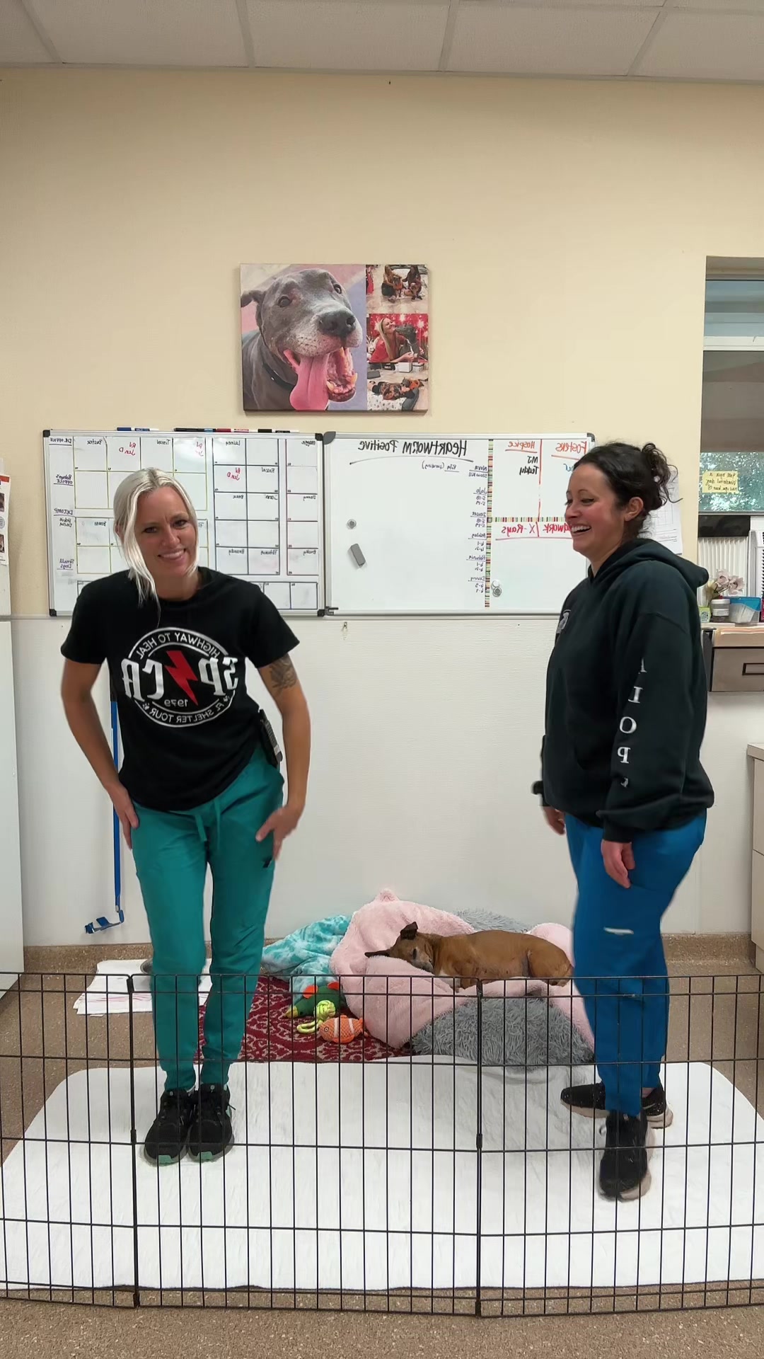 @2vettechs