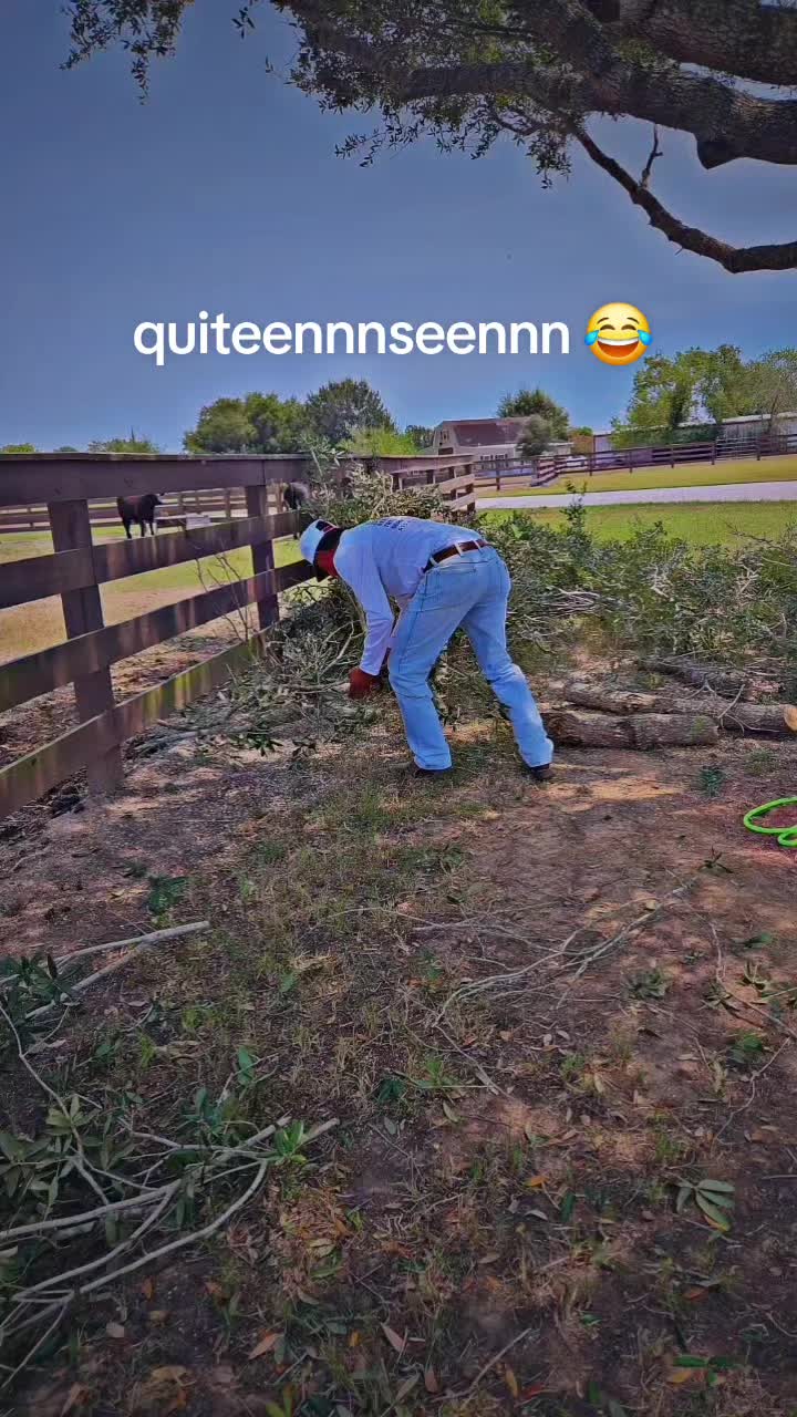 @GTS Galvan Tree Services LLC