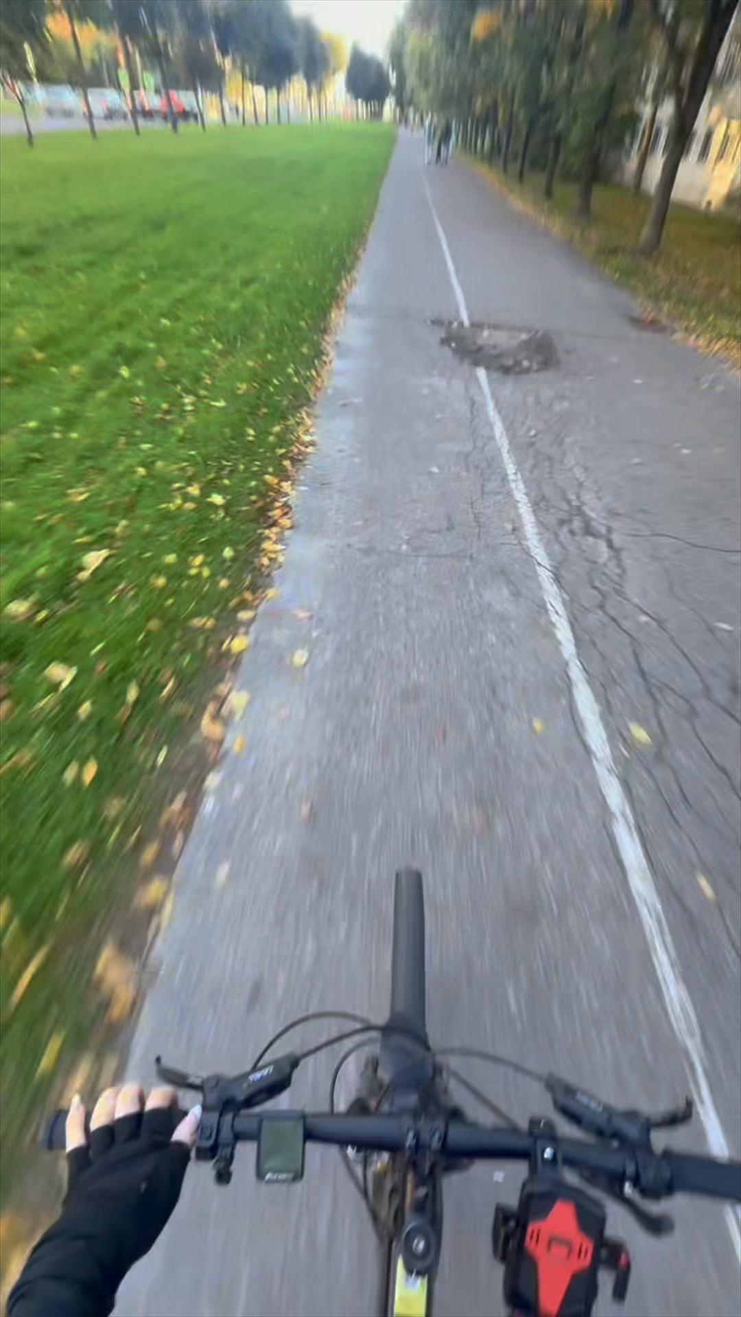 @Лиза