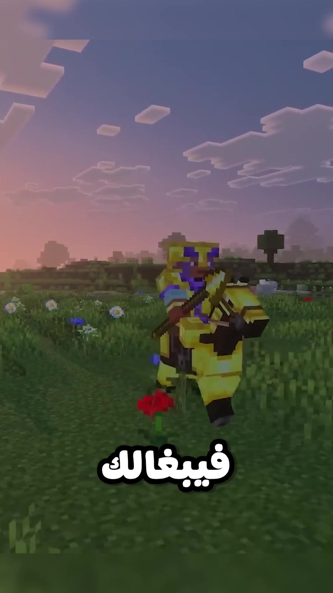 @سيما روم | cimaroom