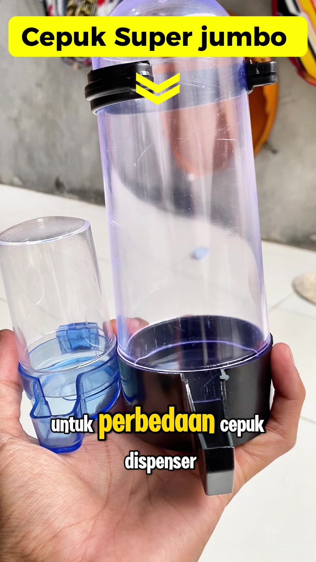 @kicau mart