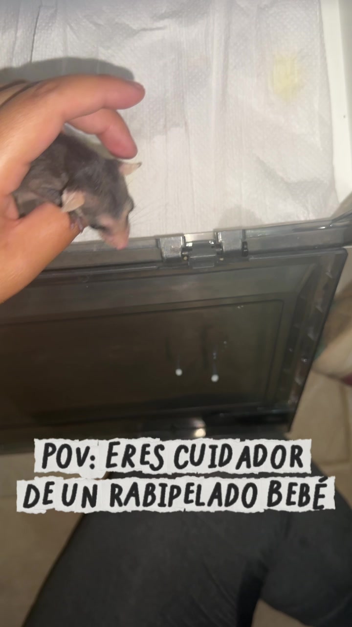 @La Casita del Avestruz