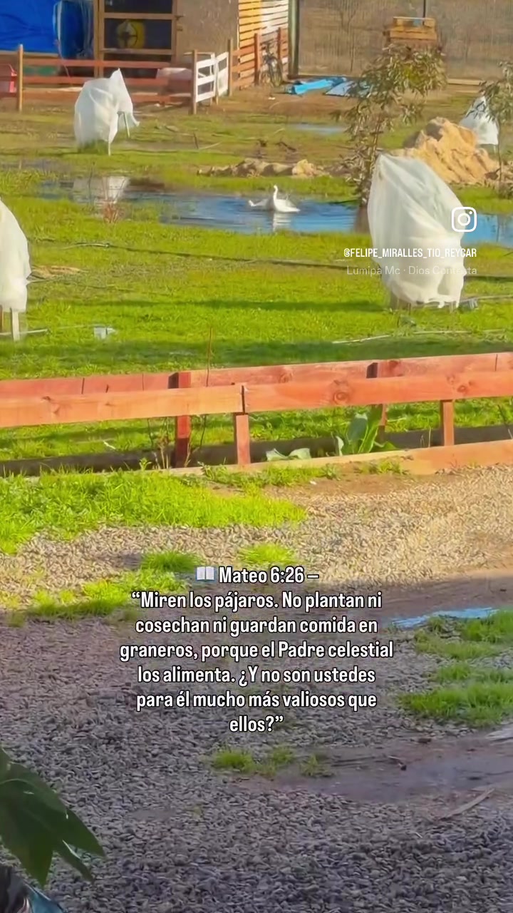 @Felipe miralles Tío Reycar