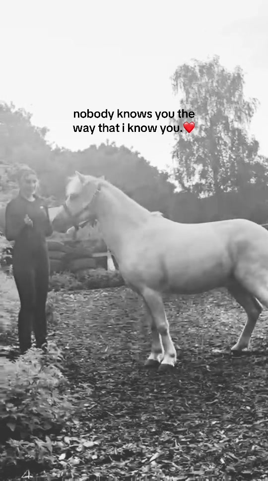 @lilys.riding🎀🐴