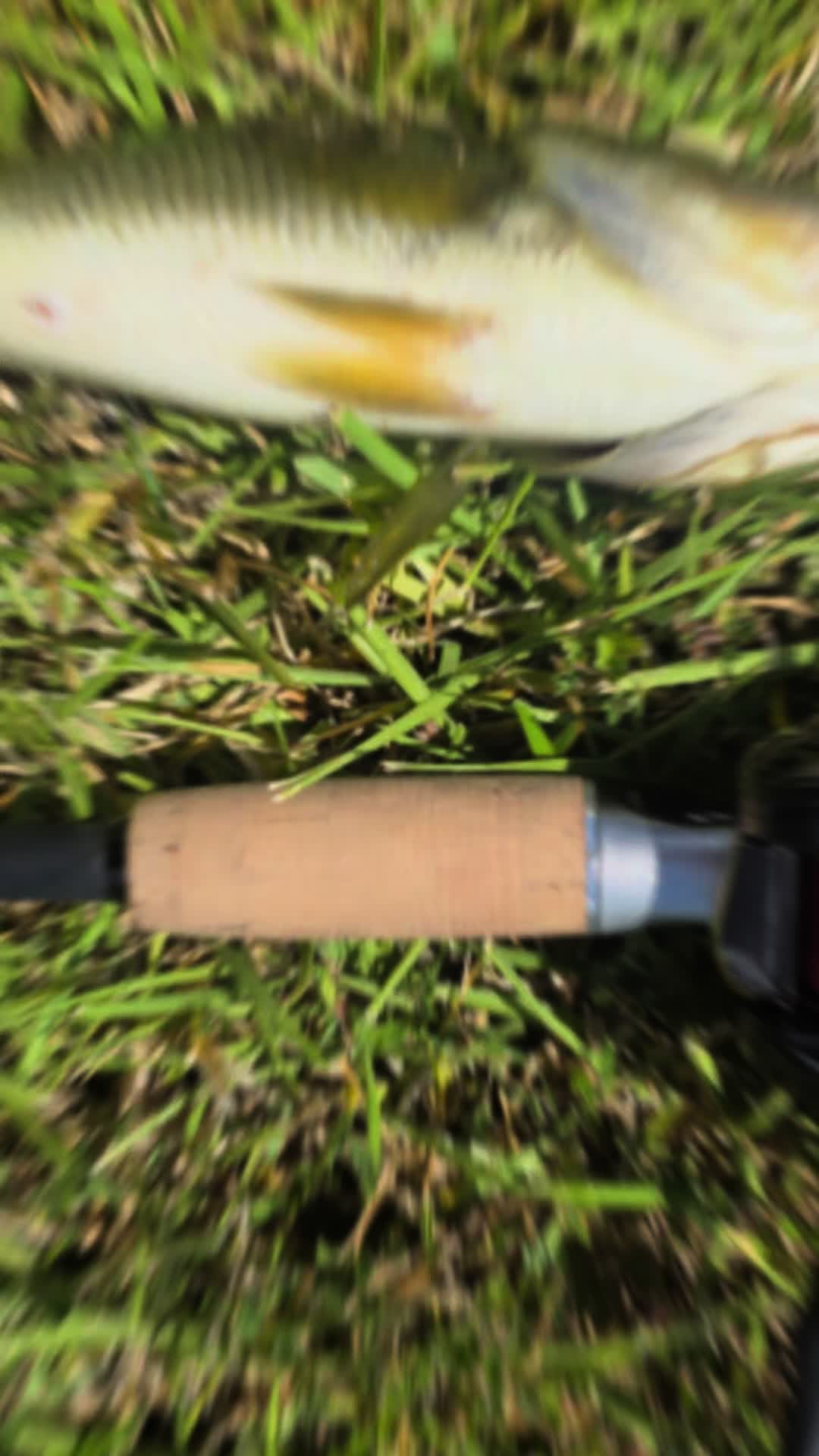 @FishingwithJairo
