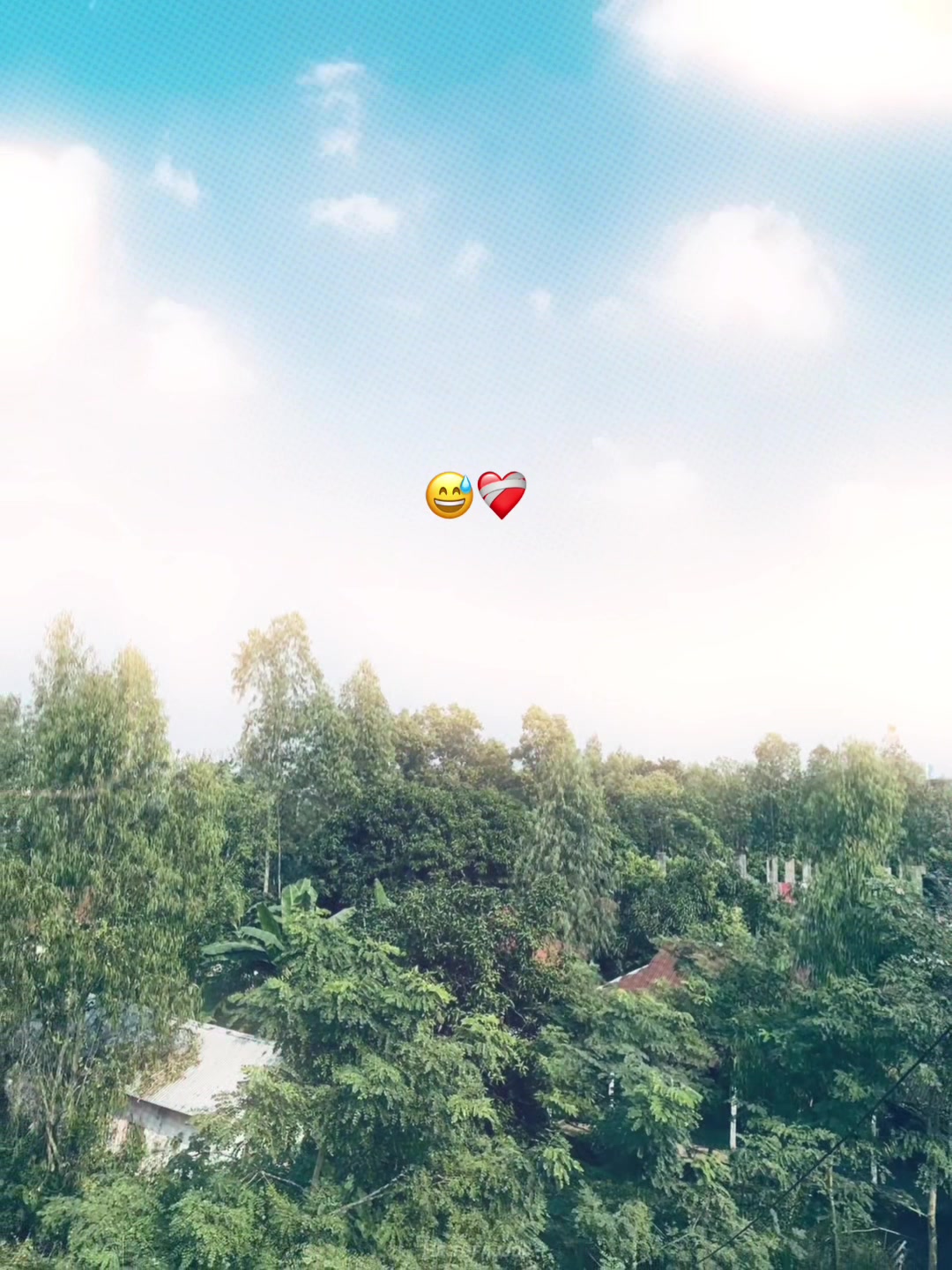 @-ᴅᴀɪꜱʏ-🌼