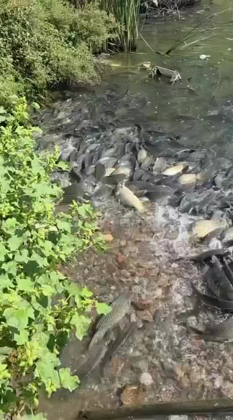 @Ирина Кизина