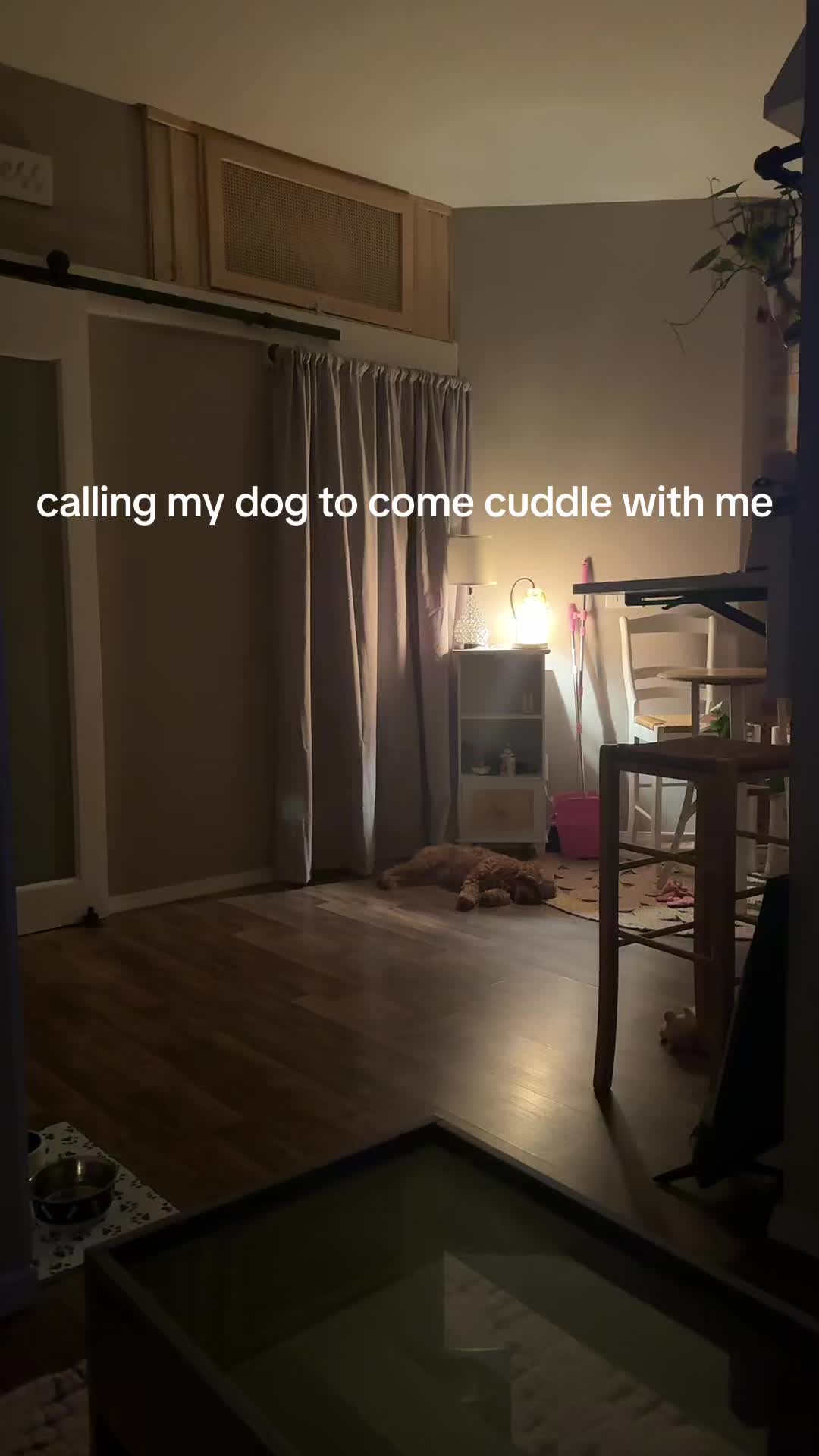 @ChanNicole
