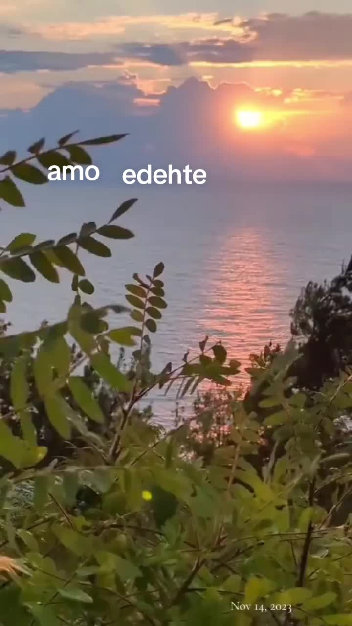 @Amato Massimo