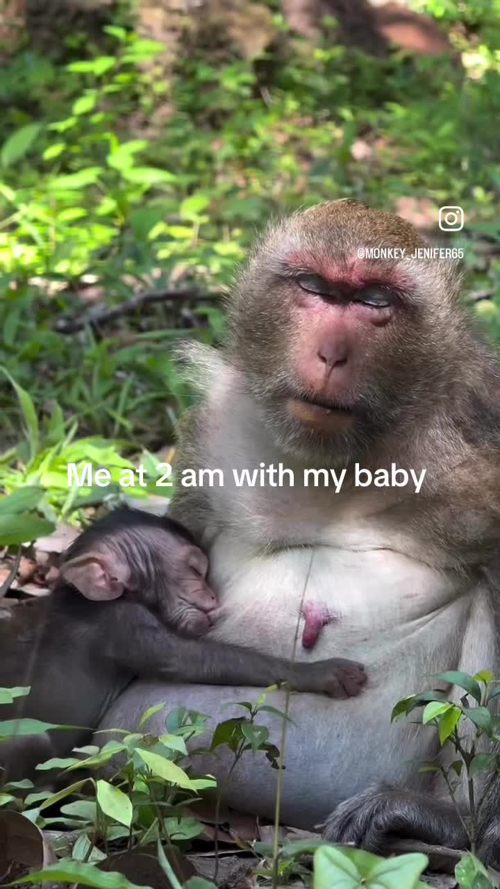 @Andrea | SAHM 🤰
