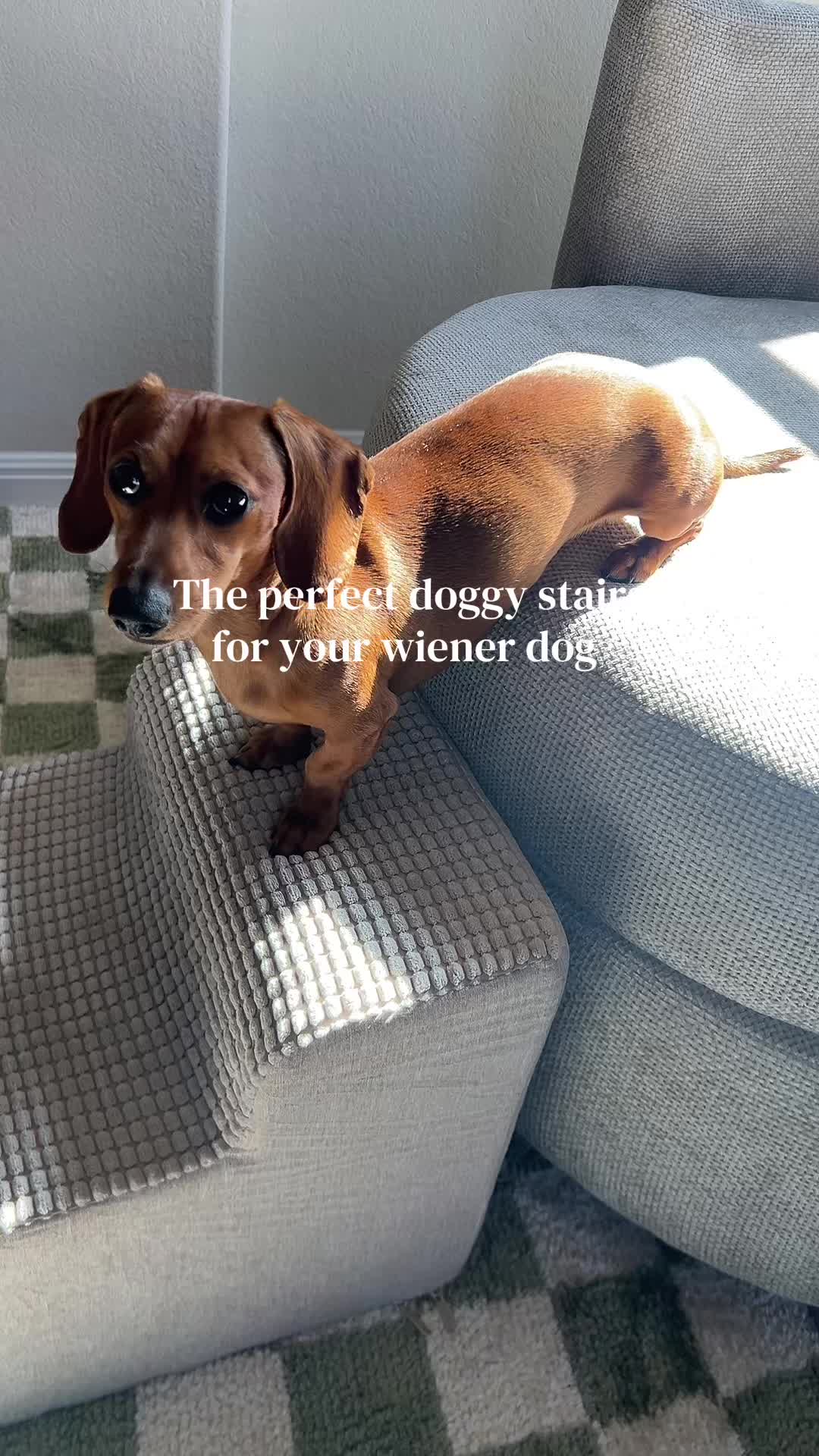@Slinky Severus-Doo