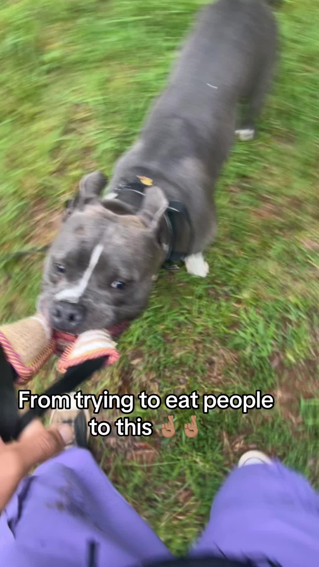 @AJ