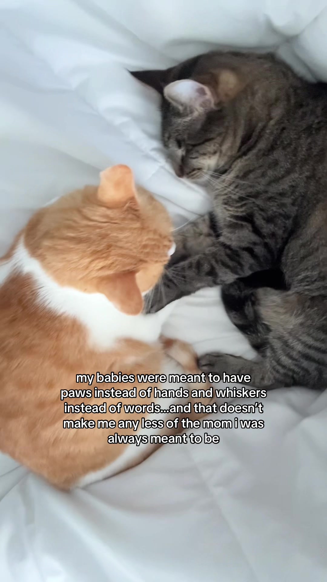@𝘼𝙢𝙗𝙚𝙧 & 𝙎𝙩𝙚𝙫𝙞𝙚