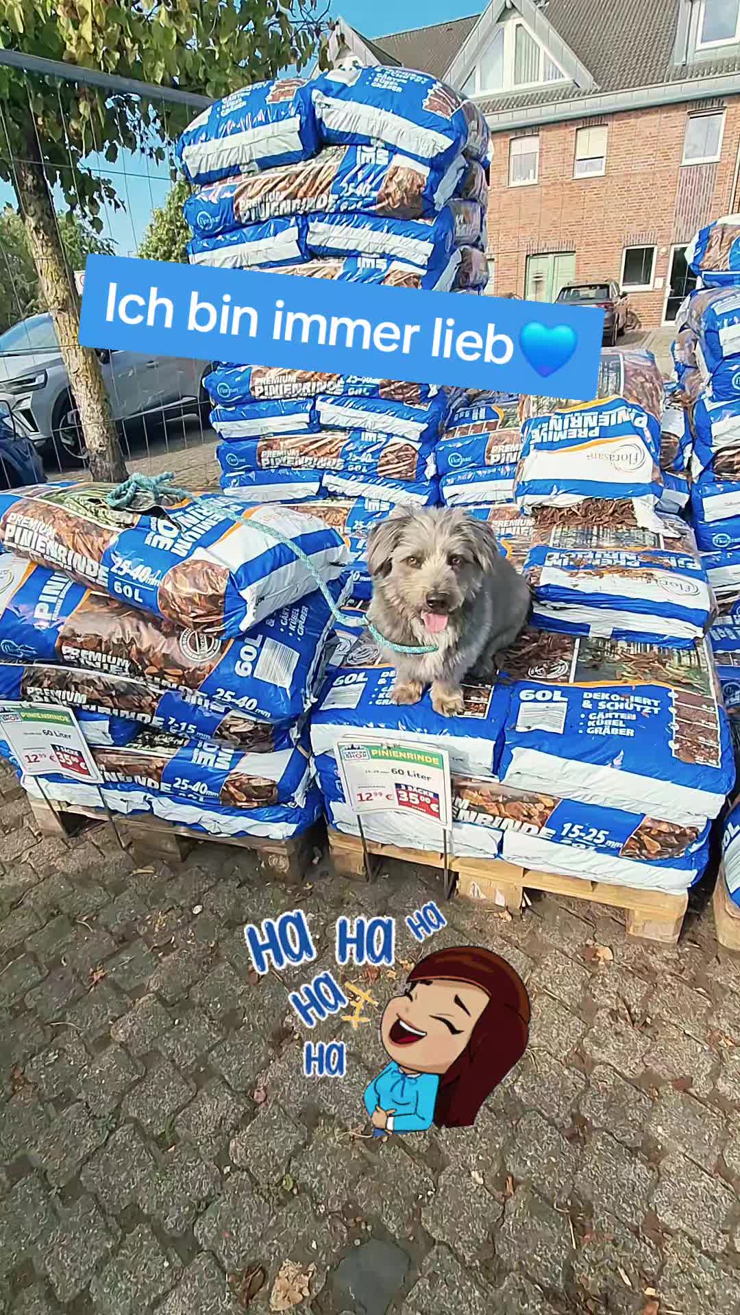 @Milo