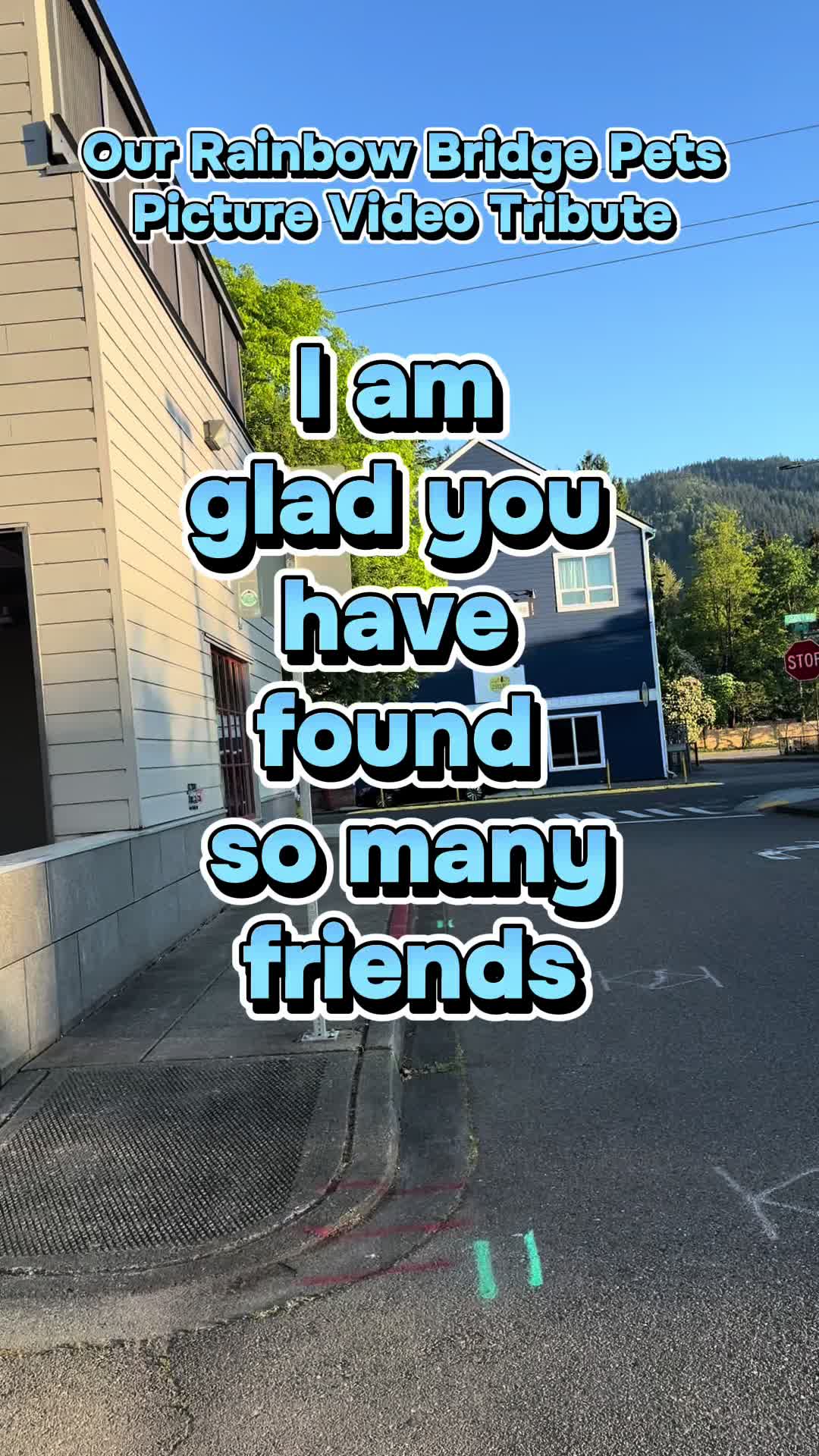 @OurRainbowBridgePets