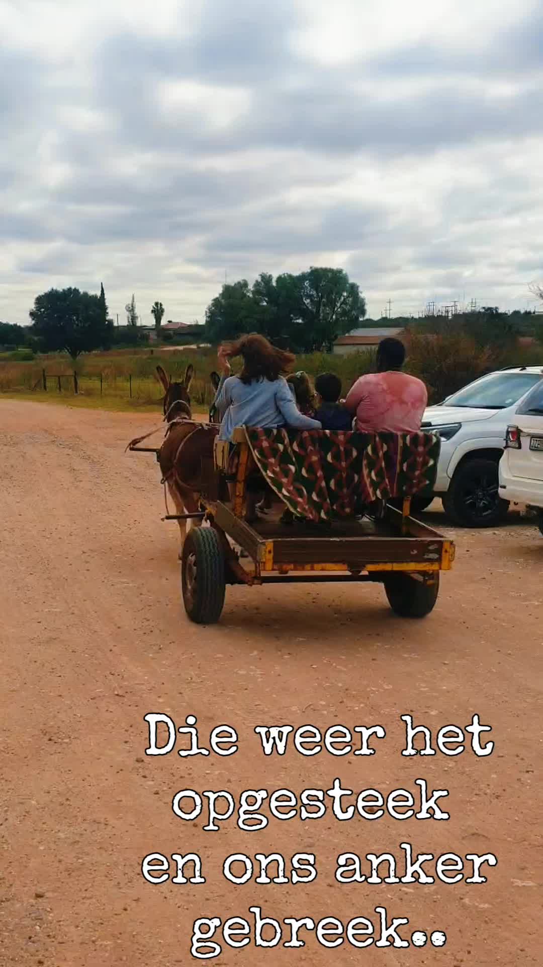 @🇿🇦DoringDraad Kalahari🇿🇦